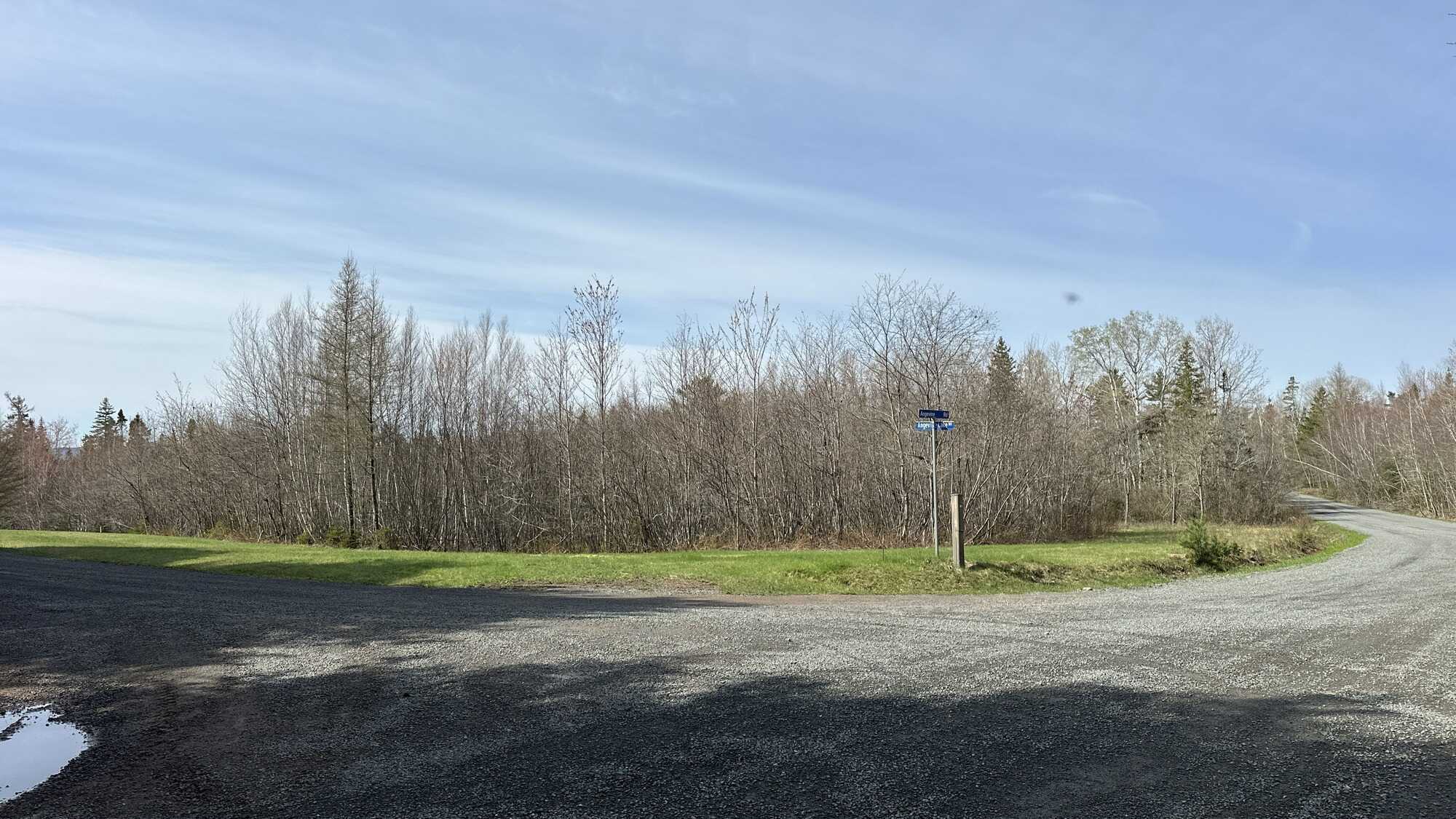1.33 acres of paradise at Angevine Lake! 3