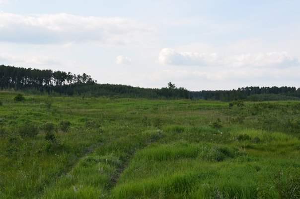 Foxfire Glen Lot 4 Block 3, Rimbey 2