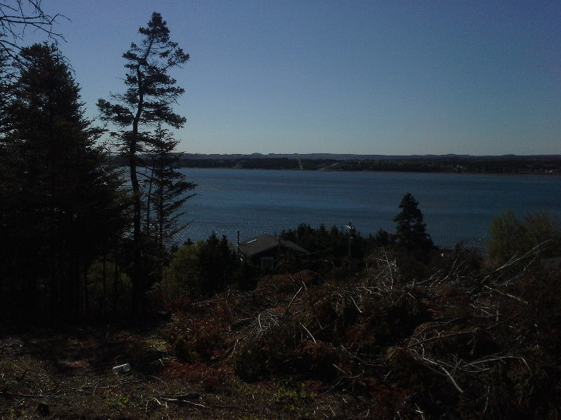 155 Conception Bay Hwy, Spaniard's Bay 3
