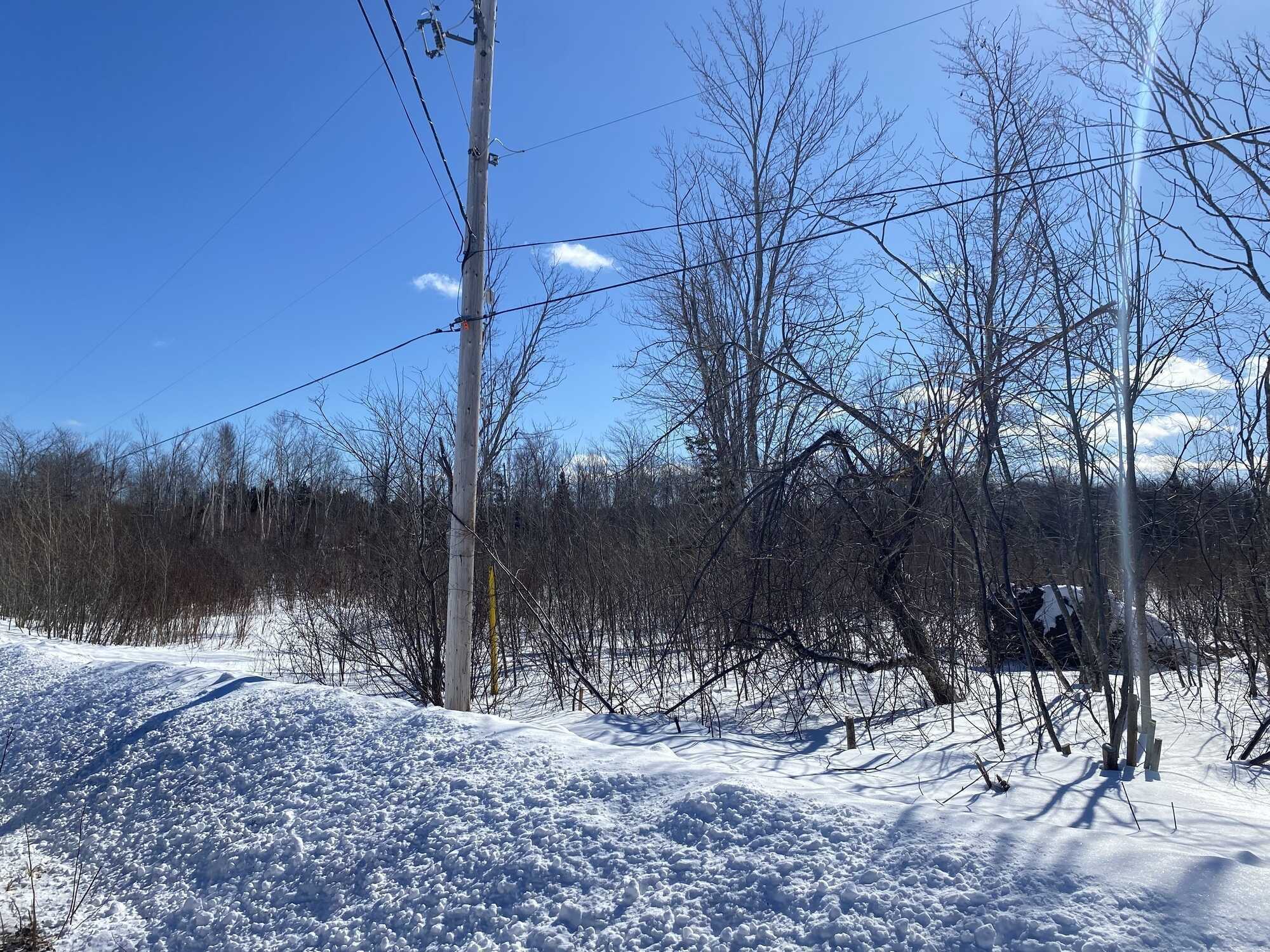 11.5 acres lot! Perfect for anyone seeking privacy and room to grow! 4