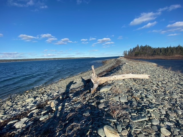 39.69 acres of Coastal Beauty 4