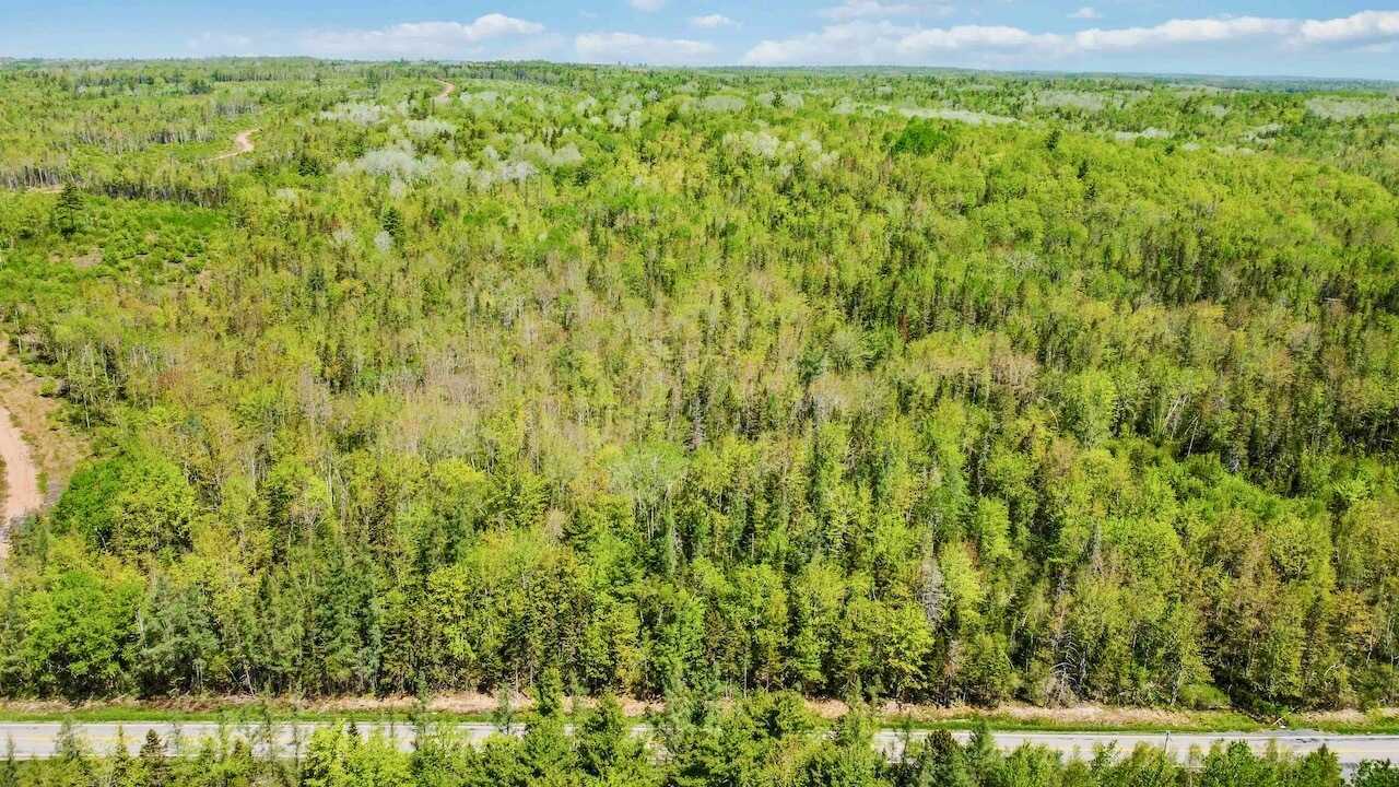 Rare 30 acre wooded lot on on Route 215, in beautiful Lower Burlington, West Hants - build your dream home with privacy, wildlife, and lifetime supply of firewood 5