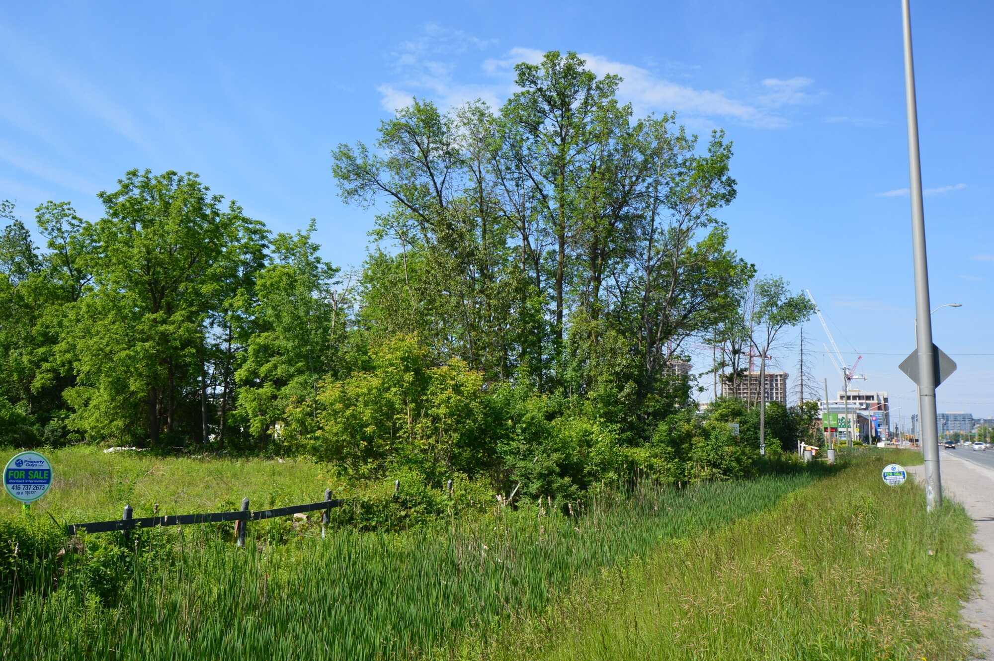 4137 Hwy 7, Markham 2