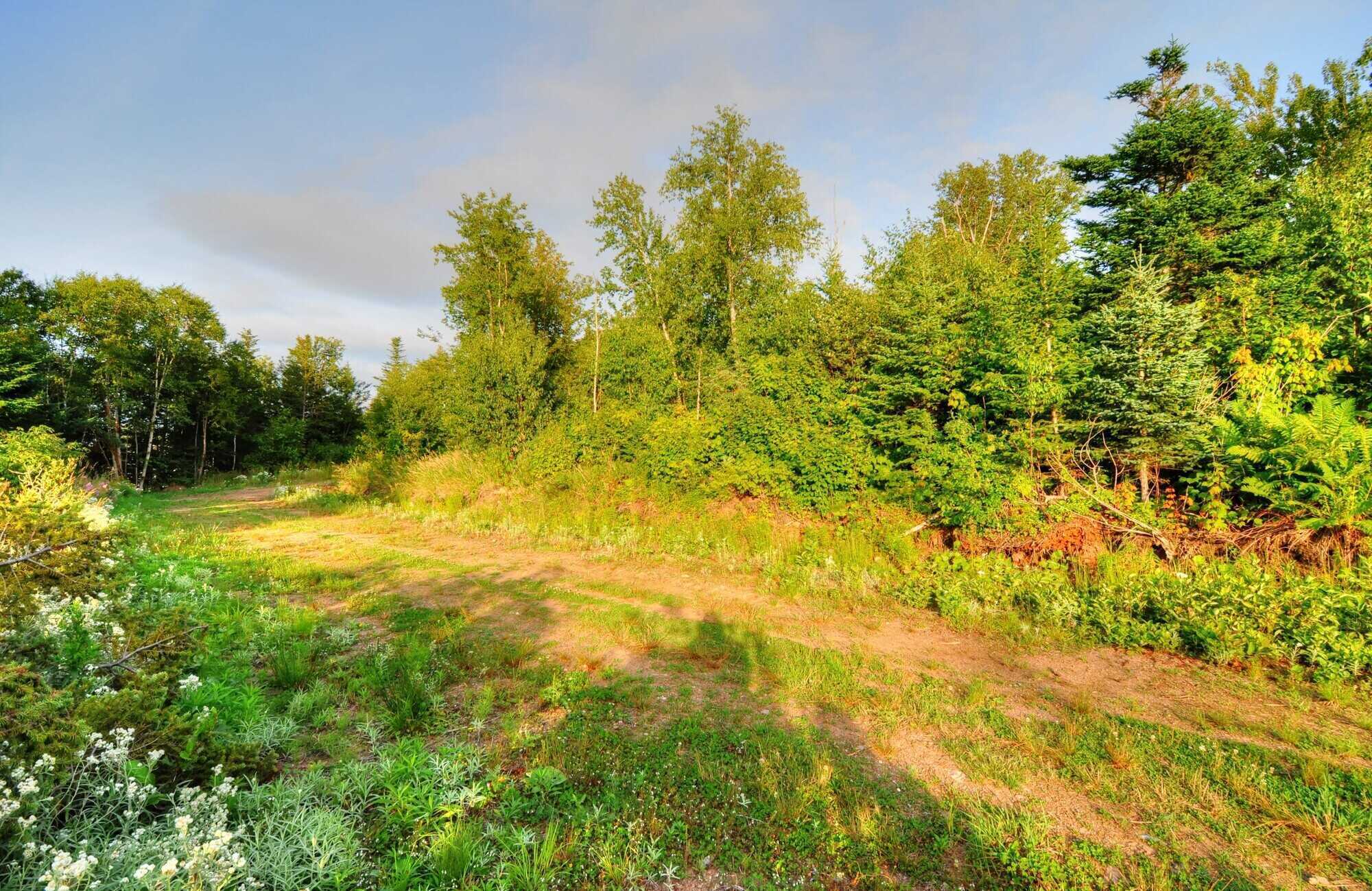 Lot 3 Main Road, St.  Jude's 4