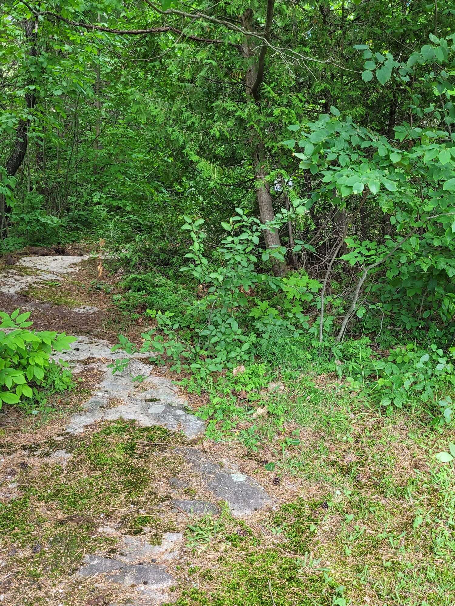 Rare Opportunity — Double Town Lots in Baysville, Ont: Serviced! 5