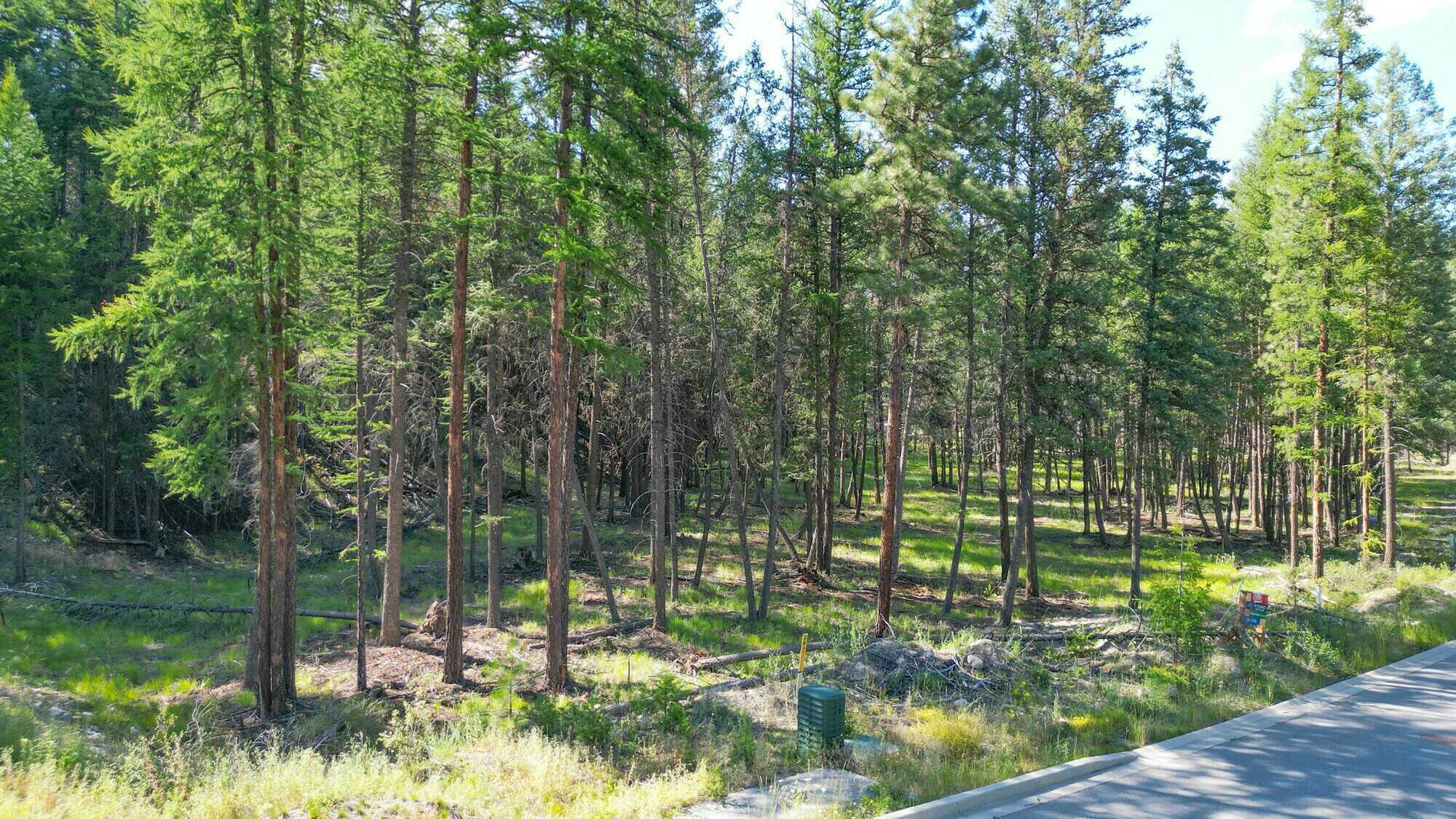 Exceptional .689-Acre Parcel in the Residences of Shadow Mountain 5