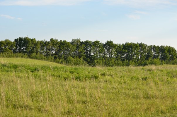 Foxfire Glen Lot 3, Block 3, Rimbey 4