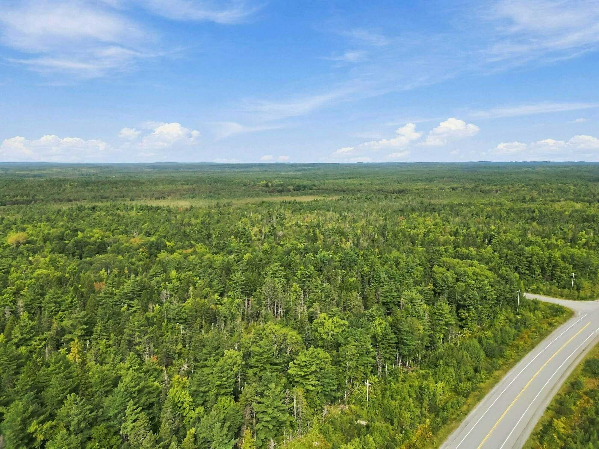 4 Acres of Vacant Land for Sale in Charleston, Nova Scotia 3