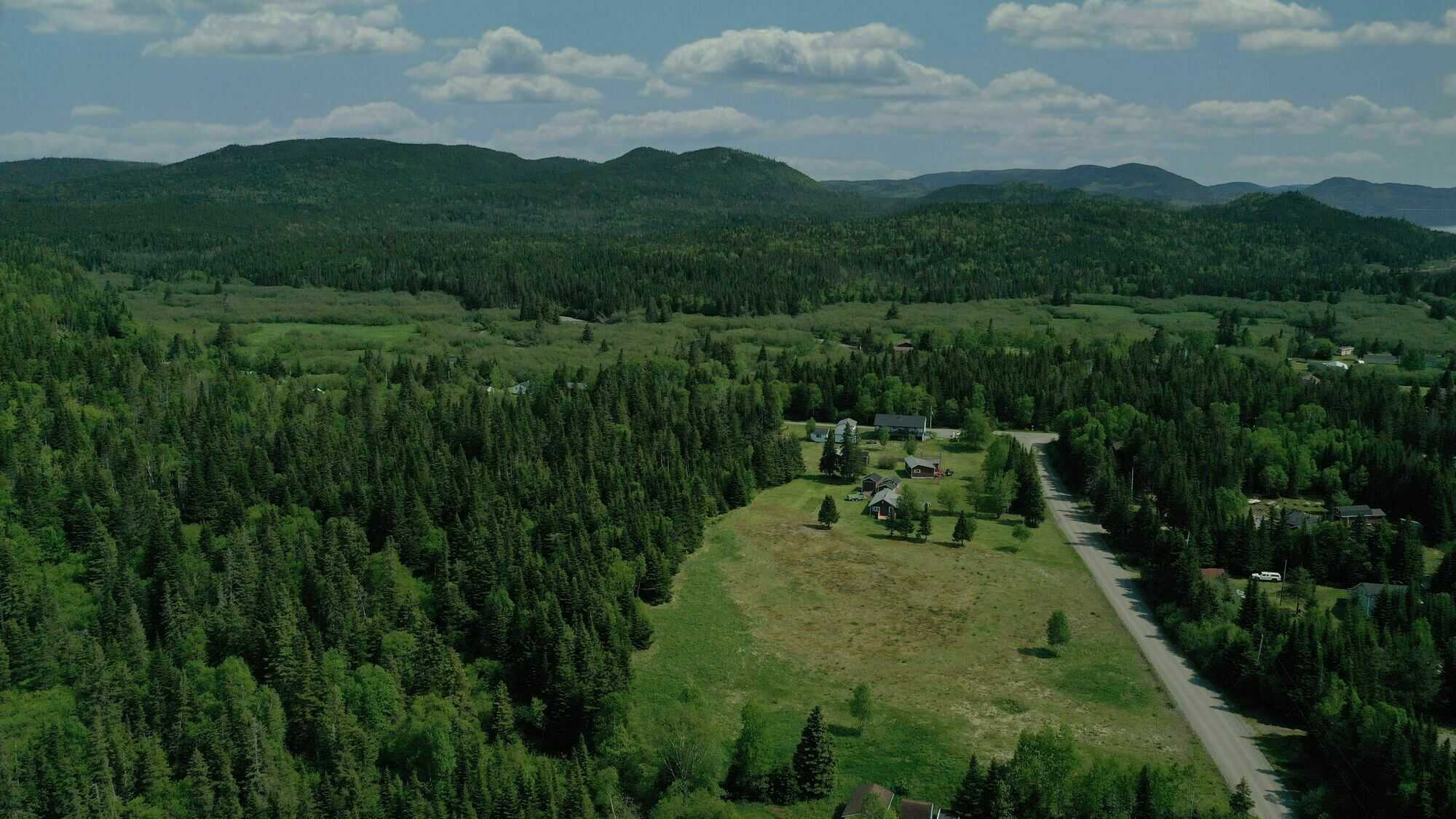 Your Dream Cabin Starts Here – Spruce Brook Lot for Sale! 5
