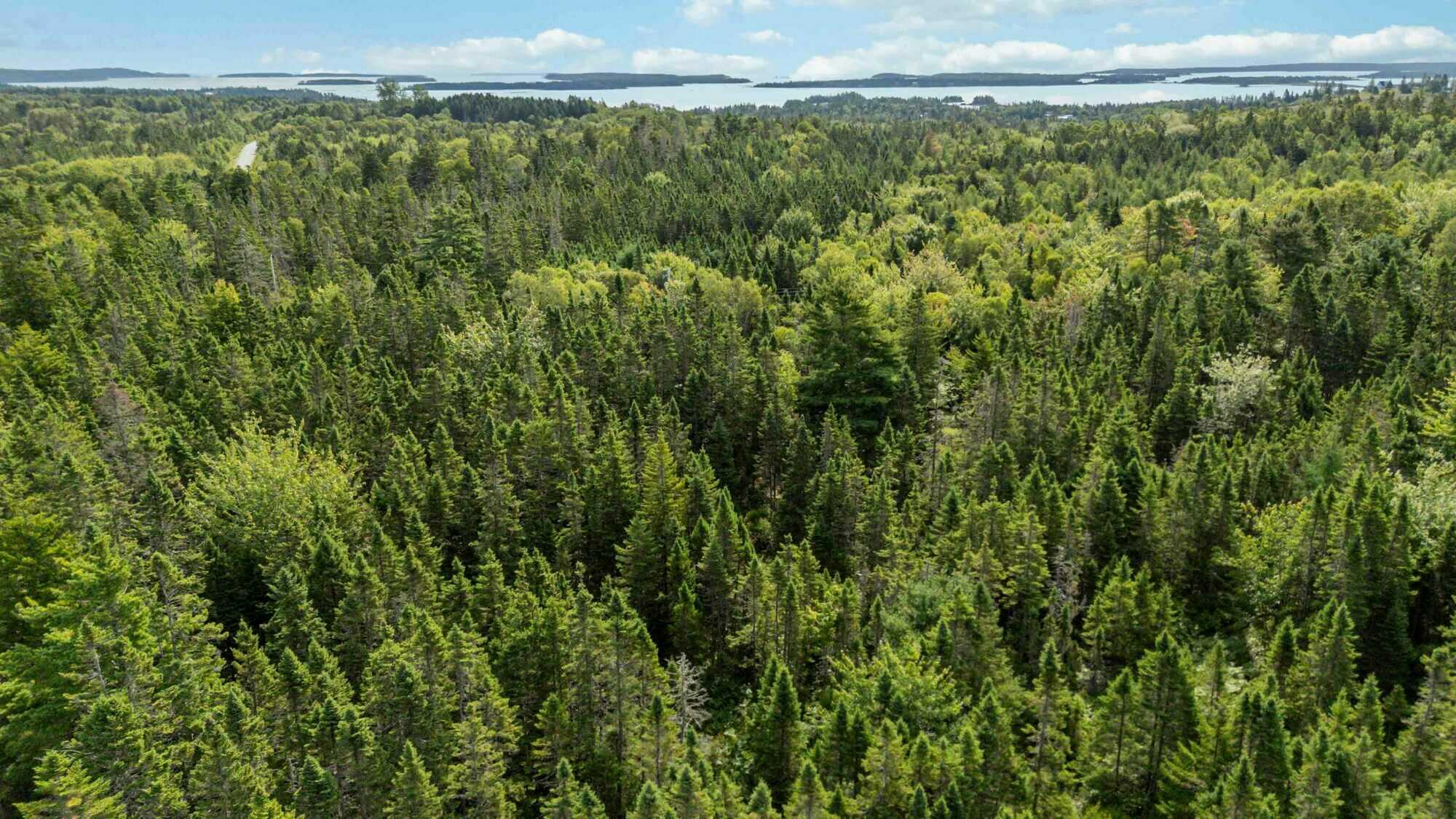 📍 285 Huey Lake Road, Lunenburg County, NS
🌊 7.34 acres | 2 PIDs | Beaches & Ferry minutes away 2