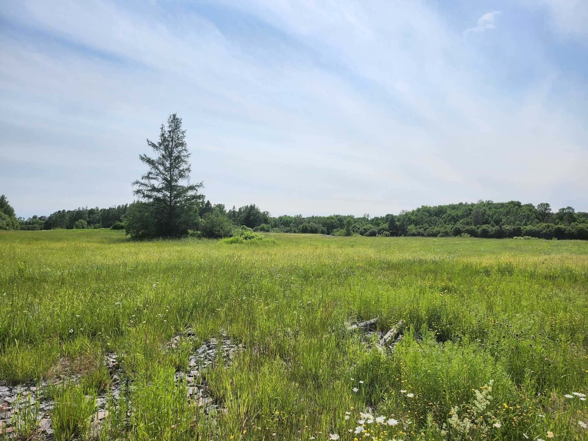 Build Your Dream Home on Nearly 20 Acres – 460 Casimir Road, St. Charles, Ontario 3