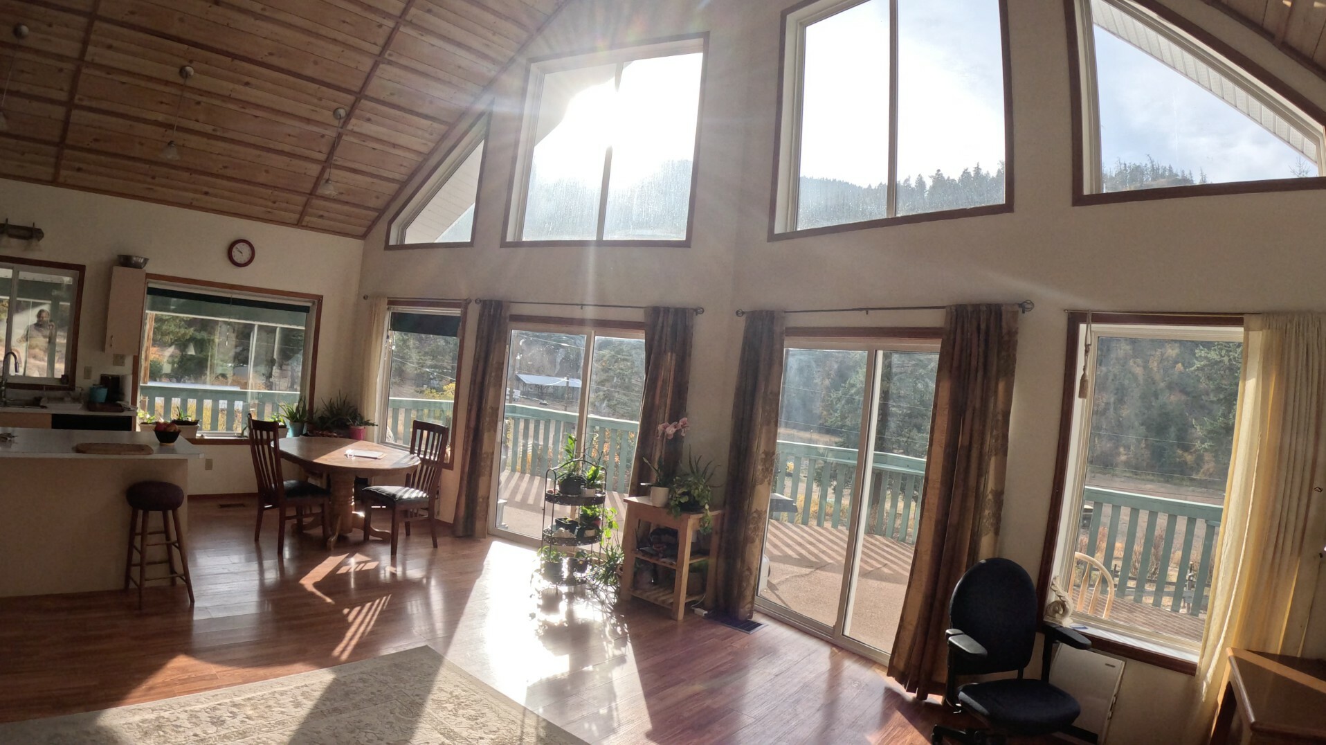 A magical 40 acre homestead. Horse riding paradise with many possibilities whether a  multifamily property, an intentional community, riding destination etc. 3