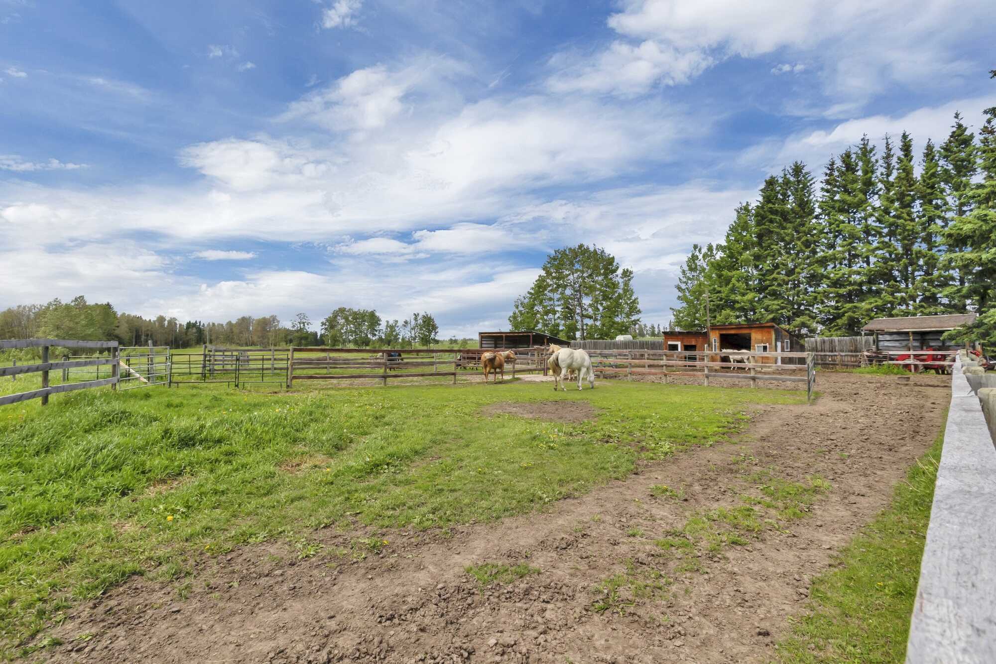 78.9 Acres ~ Mountain Views ~ Bungalow with Wrap Around Deck ~ Double Detached Garage ~ Oil Revenue ~ 5 minutes to Rocky ~ on Pavement 2