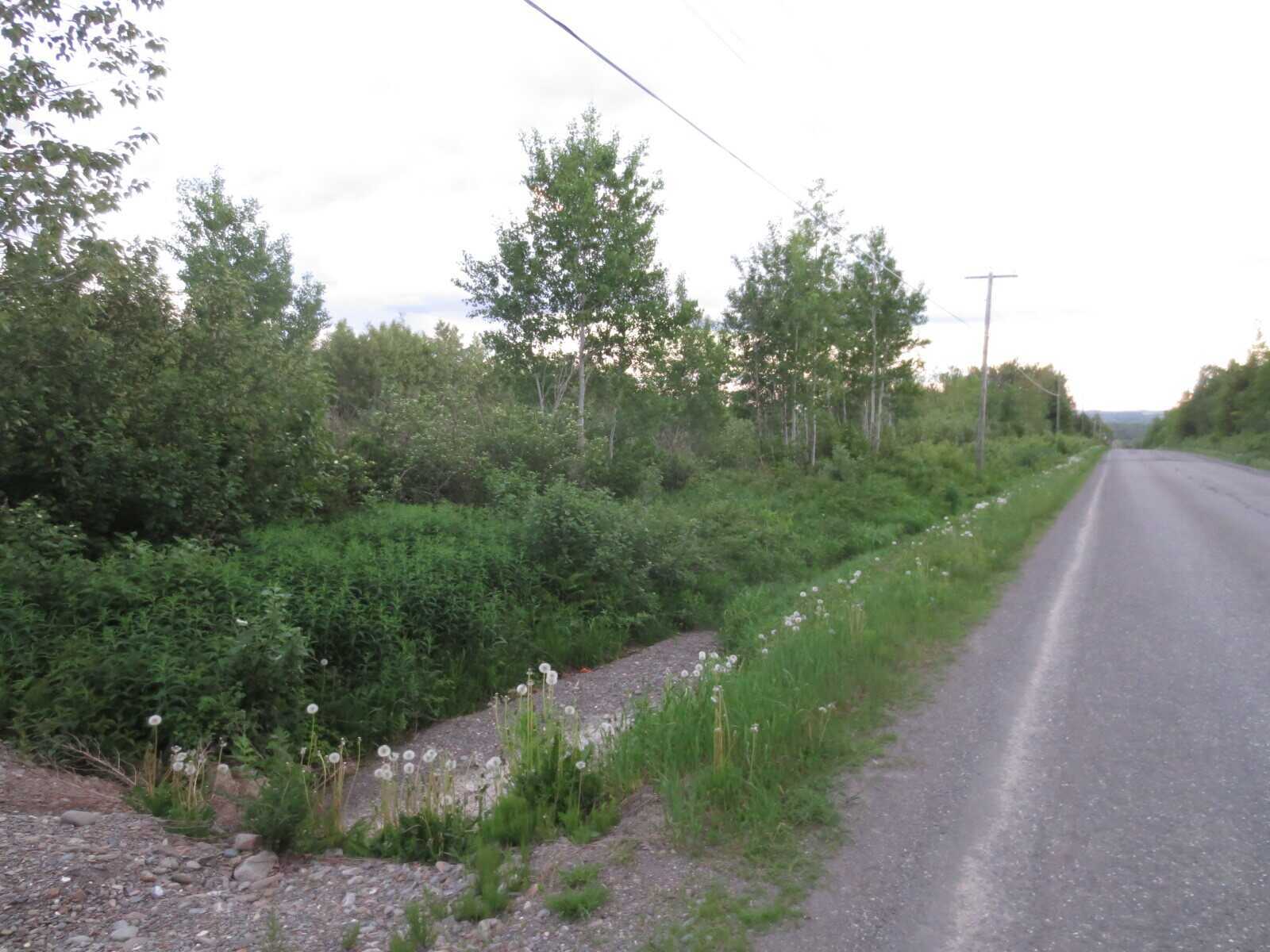 Coombes Rd, Saint-Leonard 3