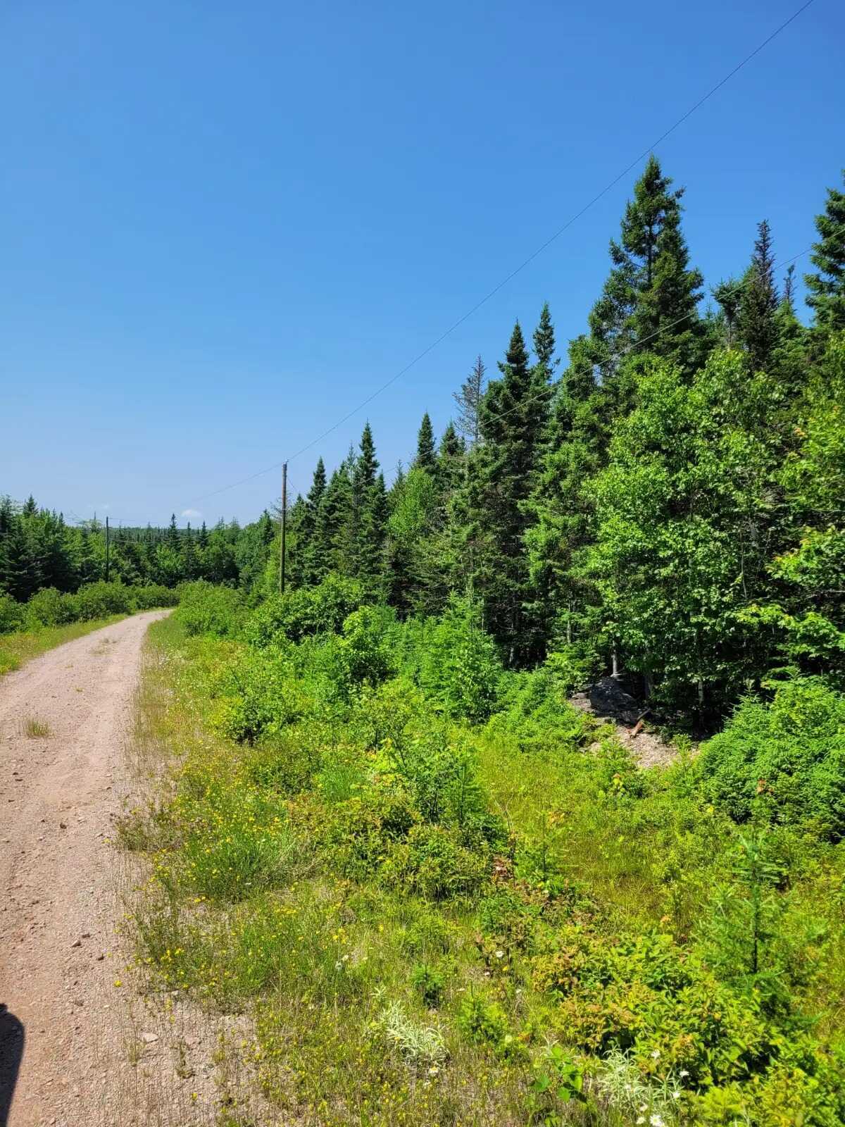 2.5 Acre Building Lot near Evanston 5