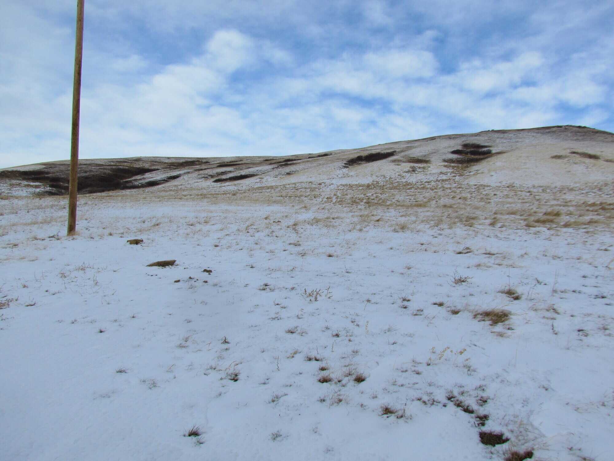 Acreage in the Porcupine Hills 4