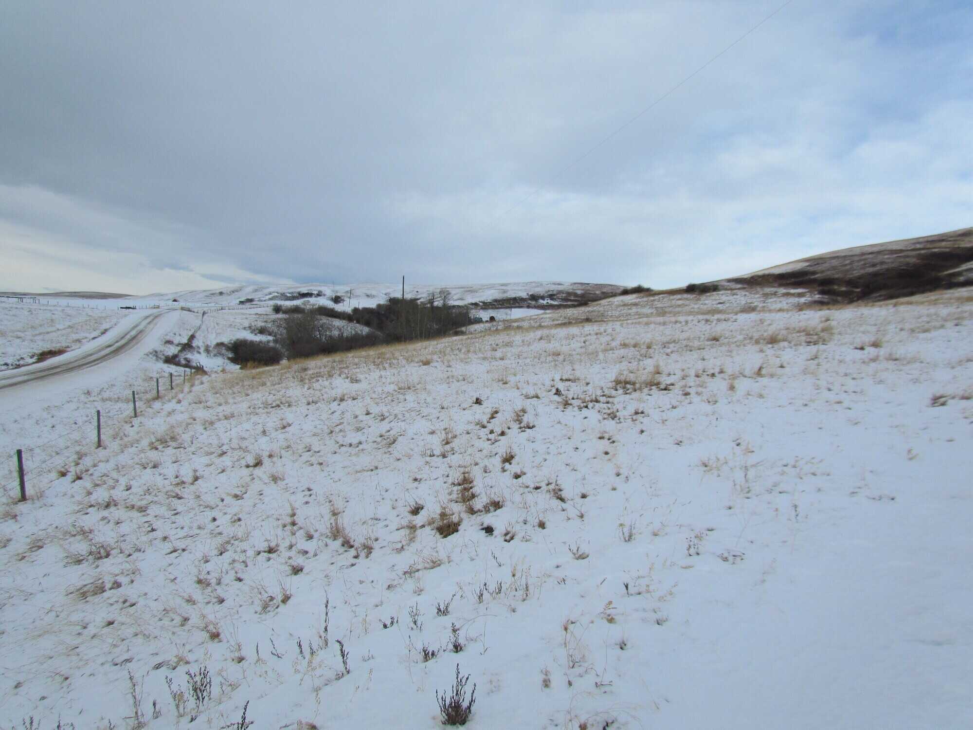 Acreage in the Porcupine Hills 5