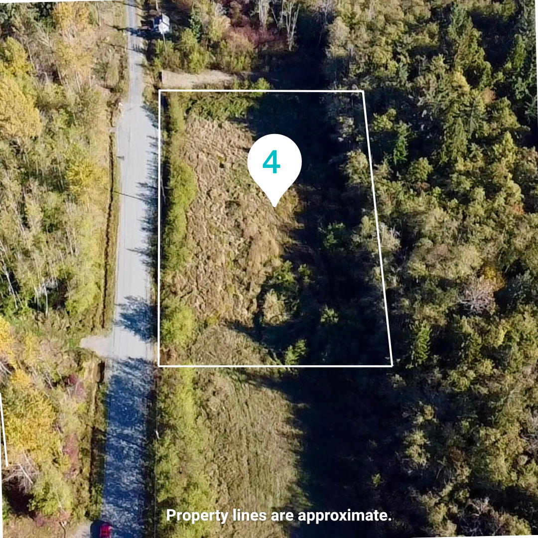 Endless Possibilities on 1.2 Acres in Campbell River 3