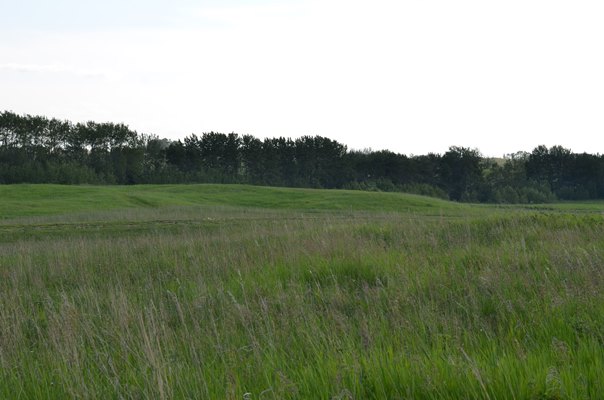 Foxfire Glen Lot 4 Block 3, Rimbey 5