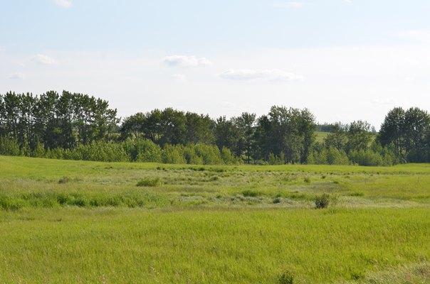Foxfire Glen Lot 5 Block 3, Rimbey 3