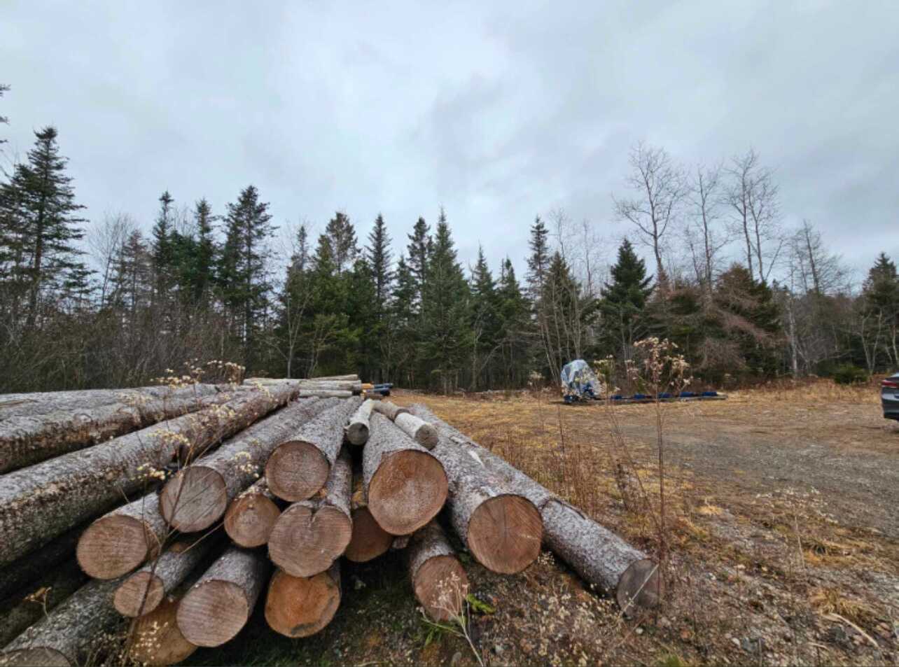 Land for sale 3