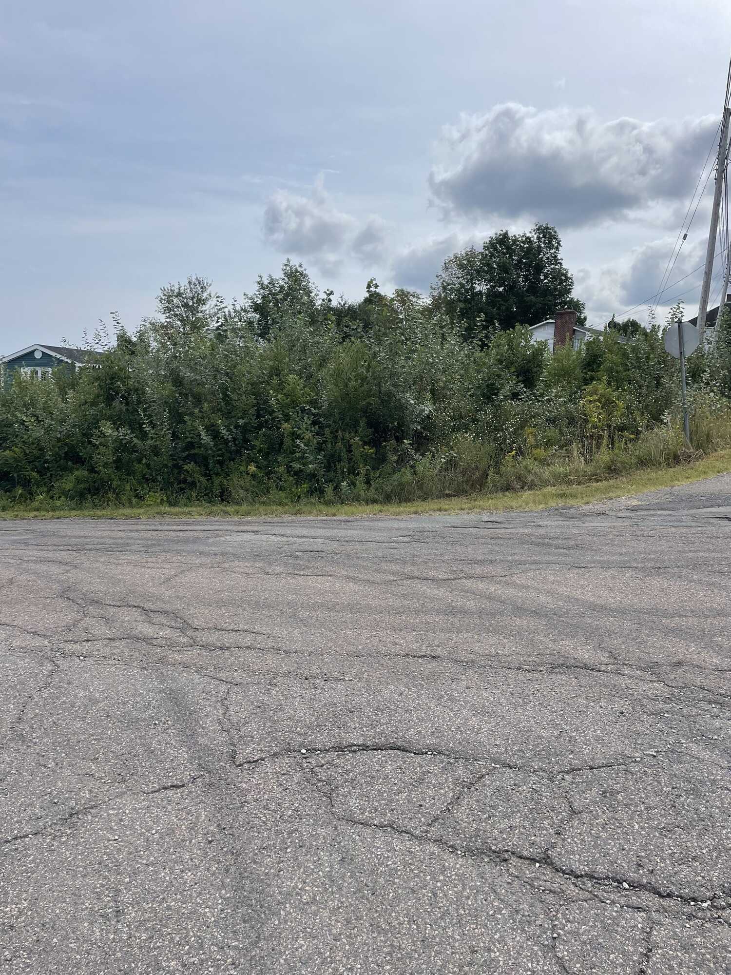 Build ready lot in Mulgrave! 4