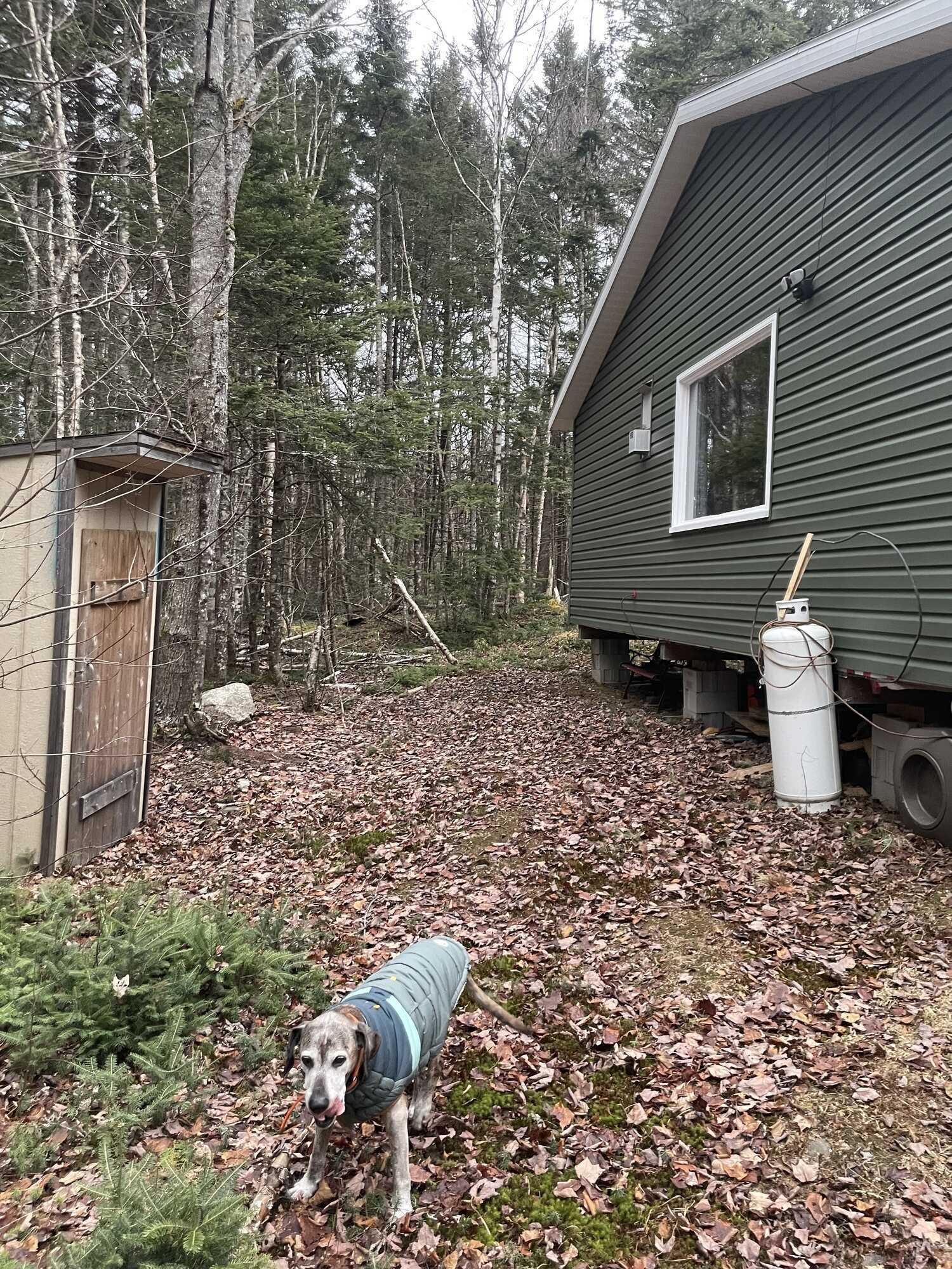 Off-Grid Fishing Camp for Sale – Seven Mile Lake Retreat! 4