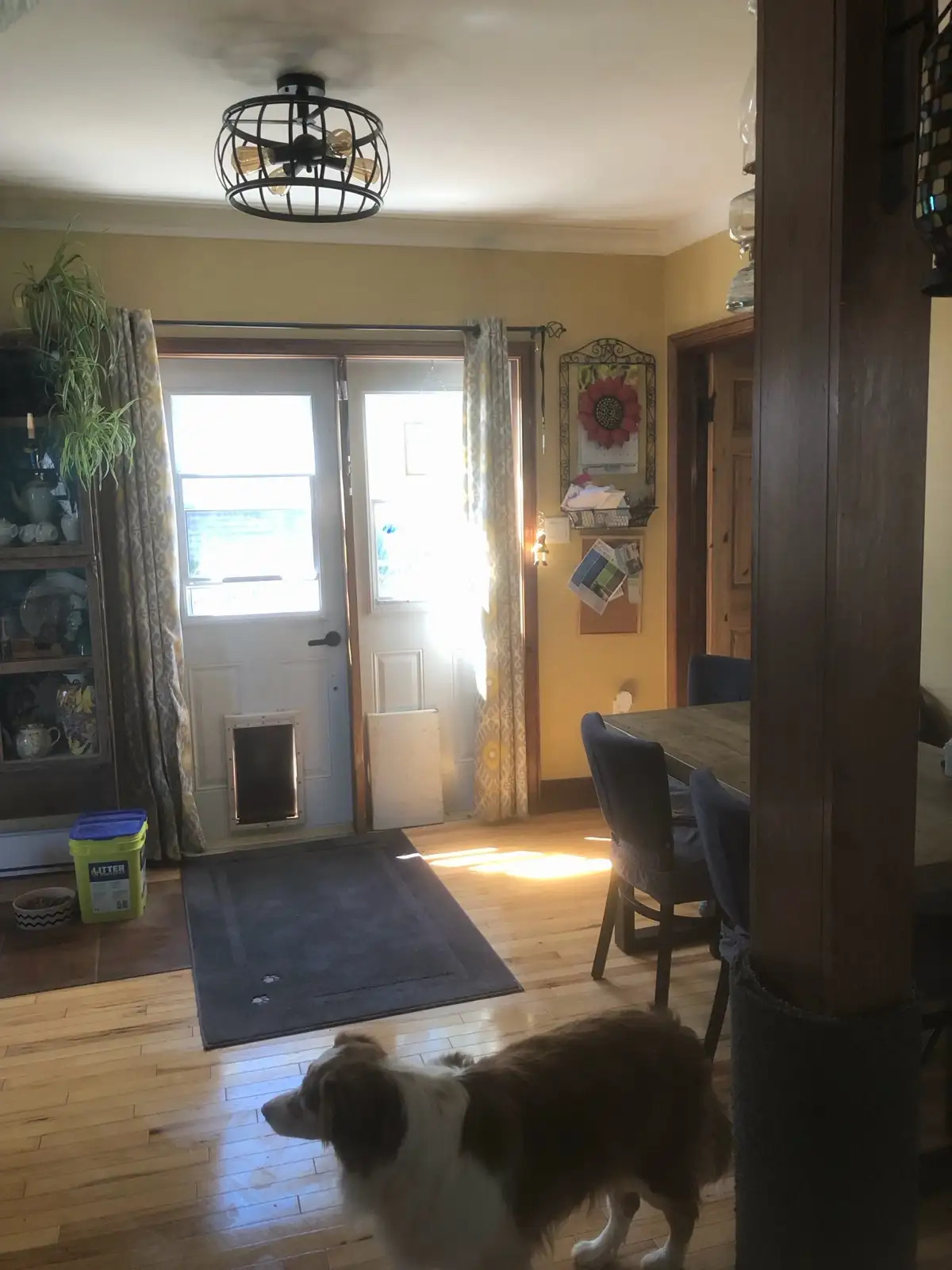 House for Sale in Port Hawkesbury 2