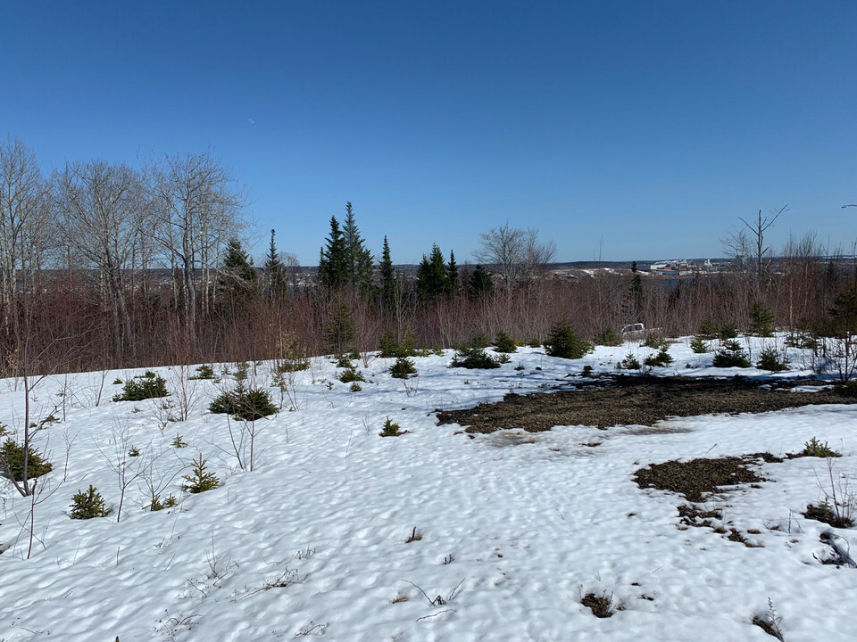 Serviced lot in Mulgrave 4