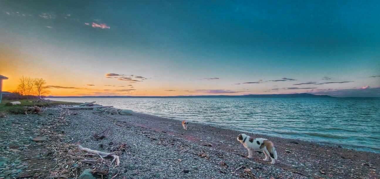 BEACHFRONT PARADISE PROPERTY ON THE BEAUTIFUL BAY OF CHALEUR 2