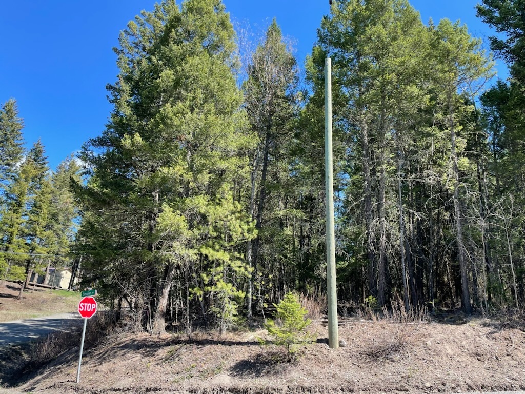 Beautiful Corner Lot 4