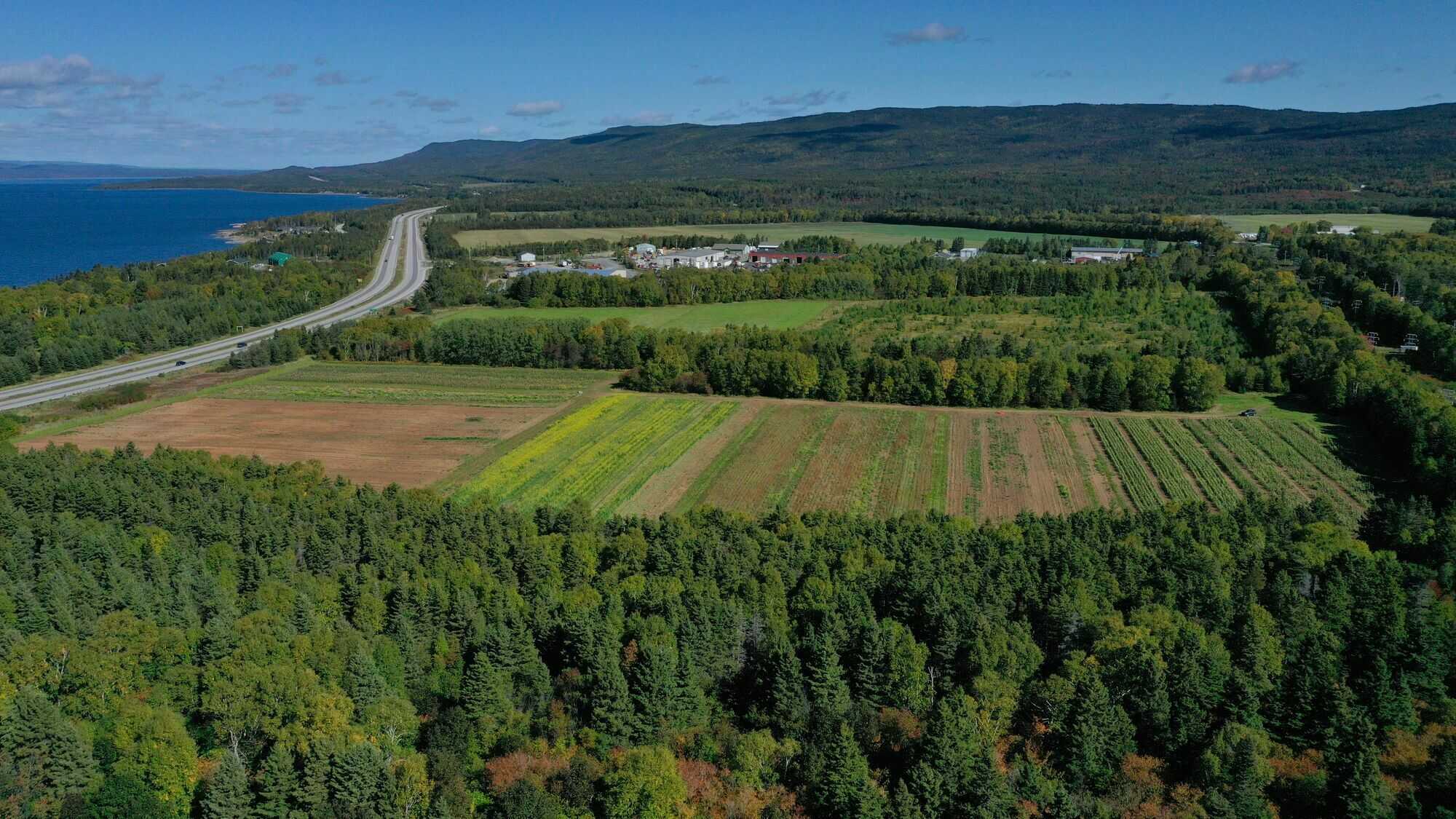 🌟 Rare Opportunity in the Heart of Humber Valley! 🌟 3