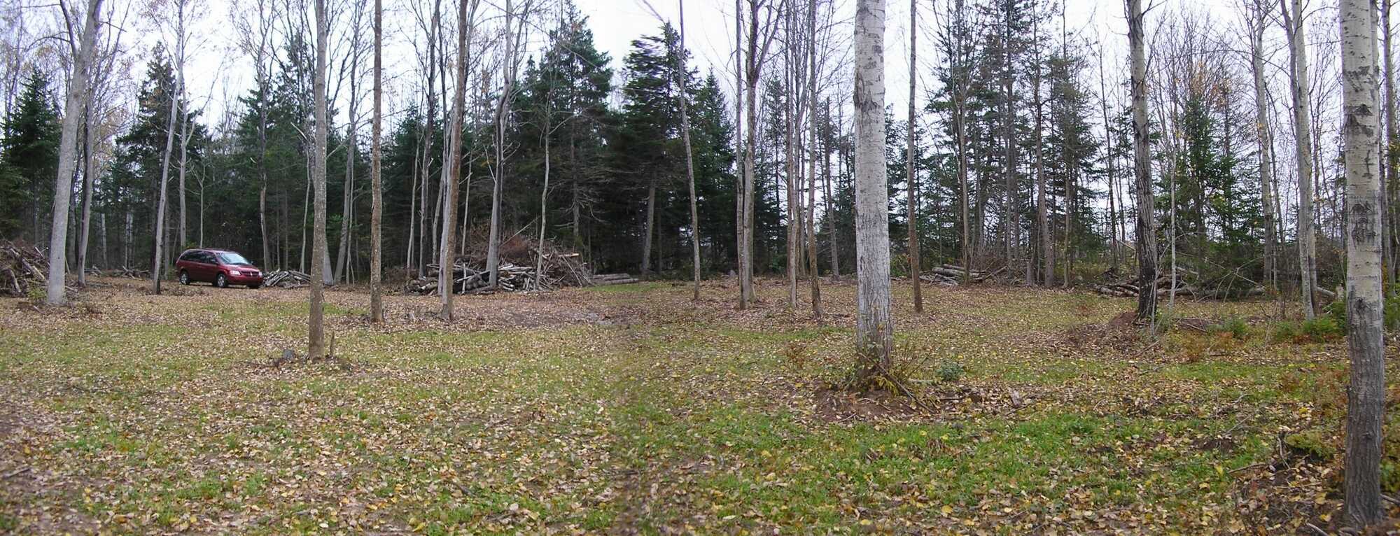Baywood Estates, Malagash Road - Lot 12, Malagash 2