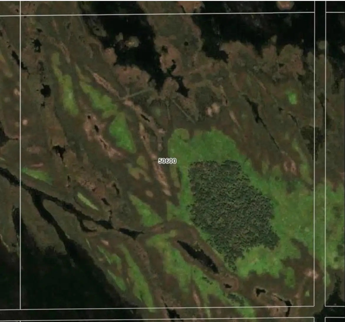 160 acres located on Dennis Lake 2