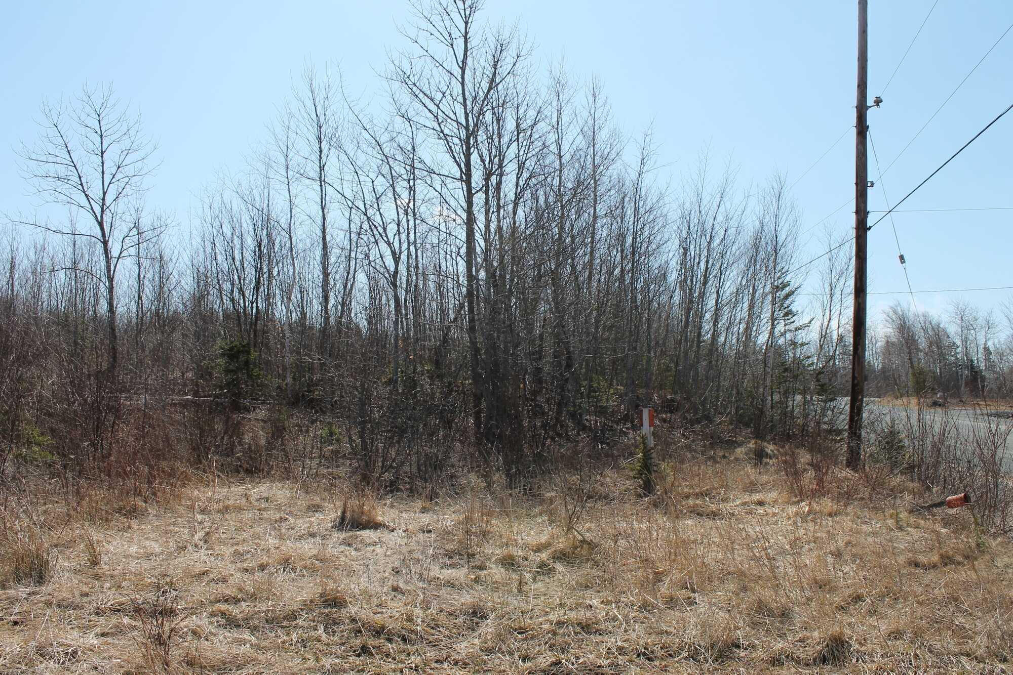 77 acres of land 4