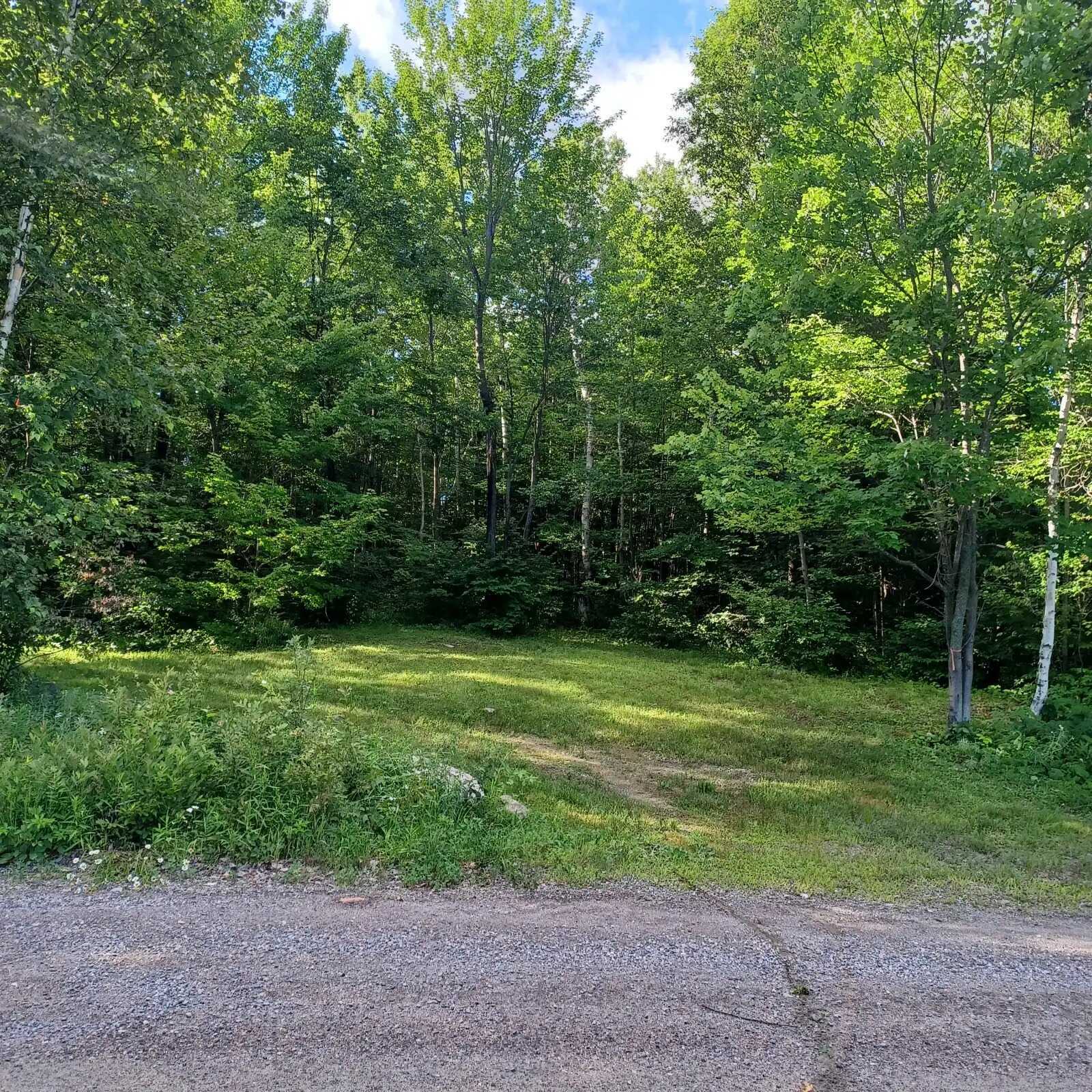 9 Acres For Sale on Paddy Lake Road 4
