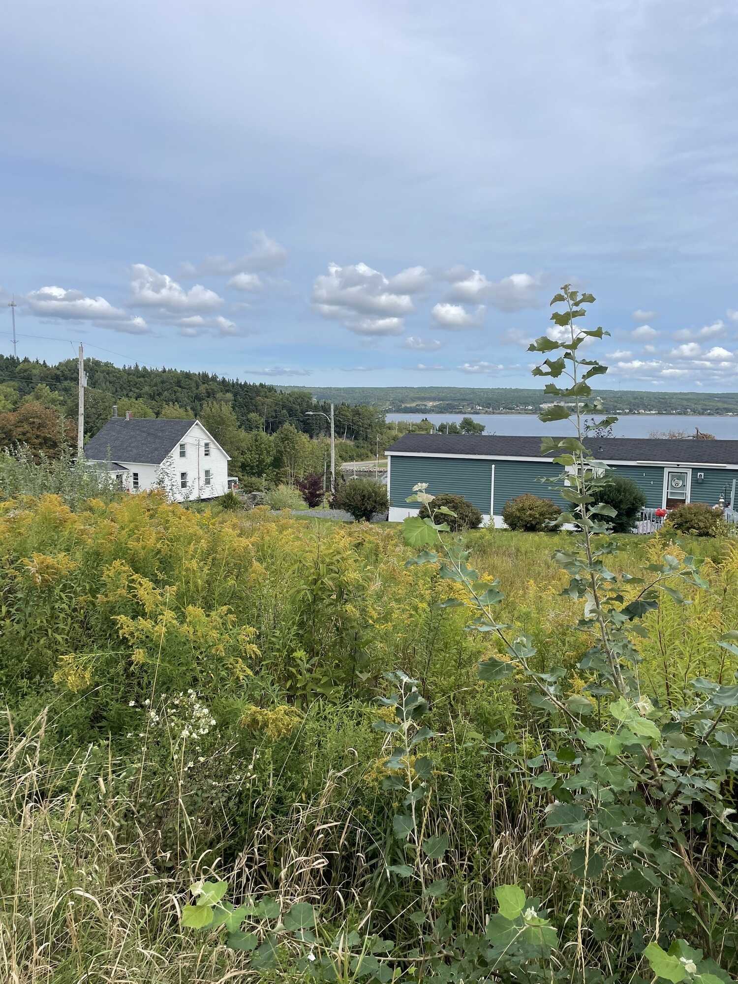 Build ready lot in Mulgrave! 3