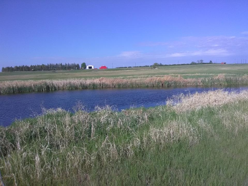 Hwy 33, Regina 2