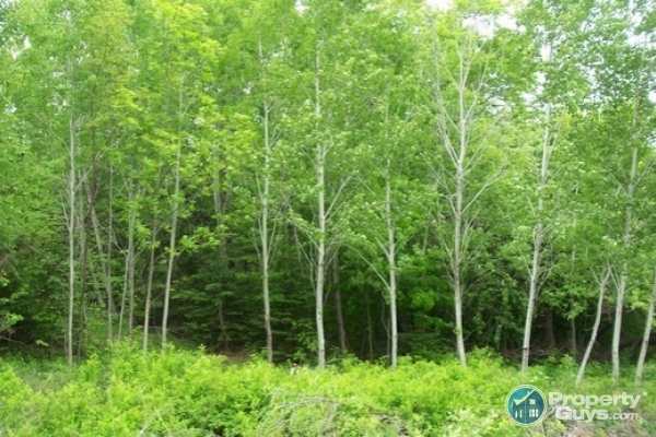 Riverview Road, Bear River 5
