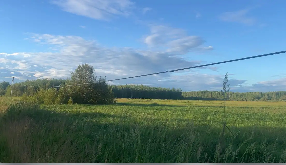 Private Buildable Land with Road Access + Hydro + Creek 2