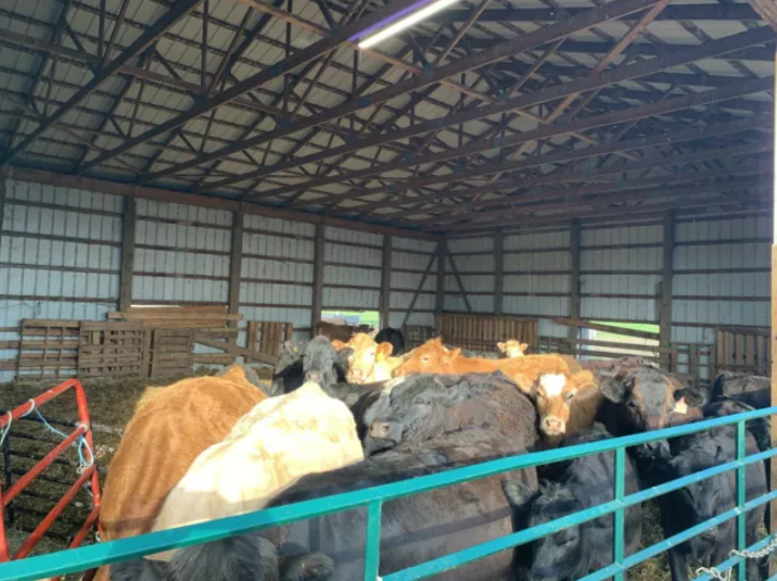 Farm for sale by owner $2.700,000 4