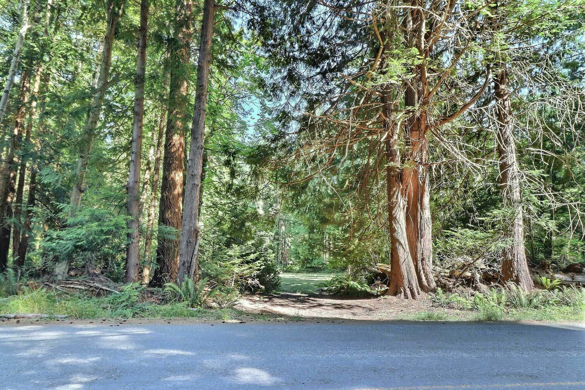 Rare Hornby Island Acreage! 🌊 4