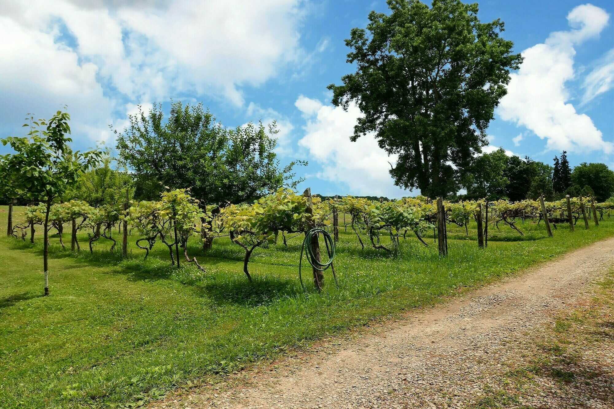 Escape the City to Your Own 5.02 Acre Country Paradise situated just outside of Dutton! 5