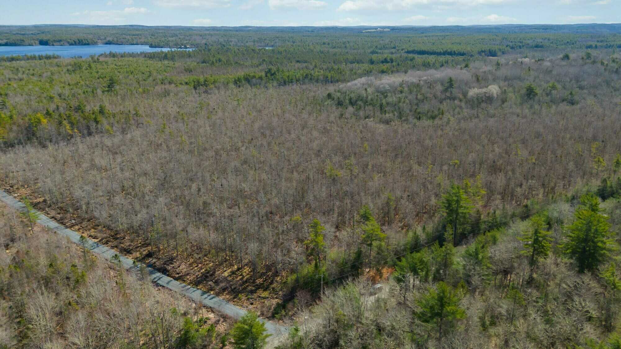 Woodland Opportunity in East Clifford – 27 Hectares / 66.7+ Acres 3