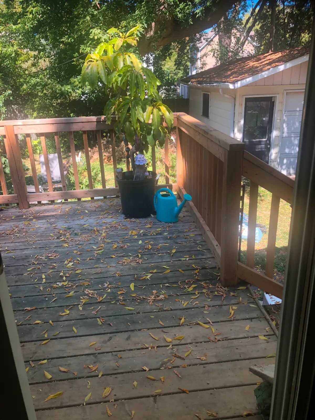 Detached multi-family House with deck and garage for Sale 5