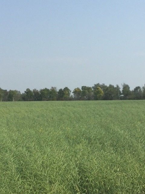 SW-36-26-22-W 160 128, Gilbert Plains 3