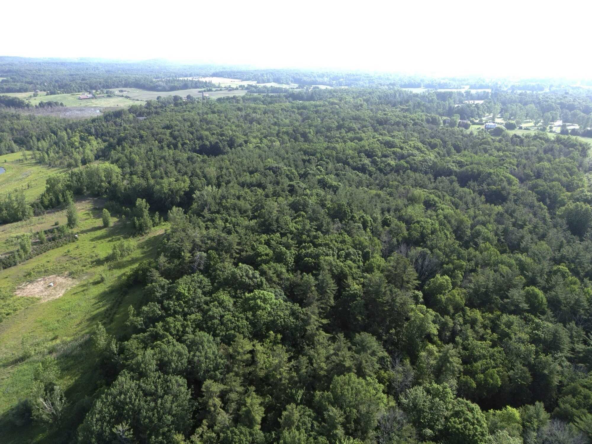 Prime 60 acres of pure potential just outside Brighton! Featuring a stunning 6-acre pond, rolling terrain, and multiple prime build sites, this peaceful retreat offers endless possibilities for your dream home with city convenience just minutes away. 3