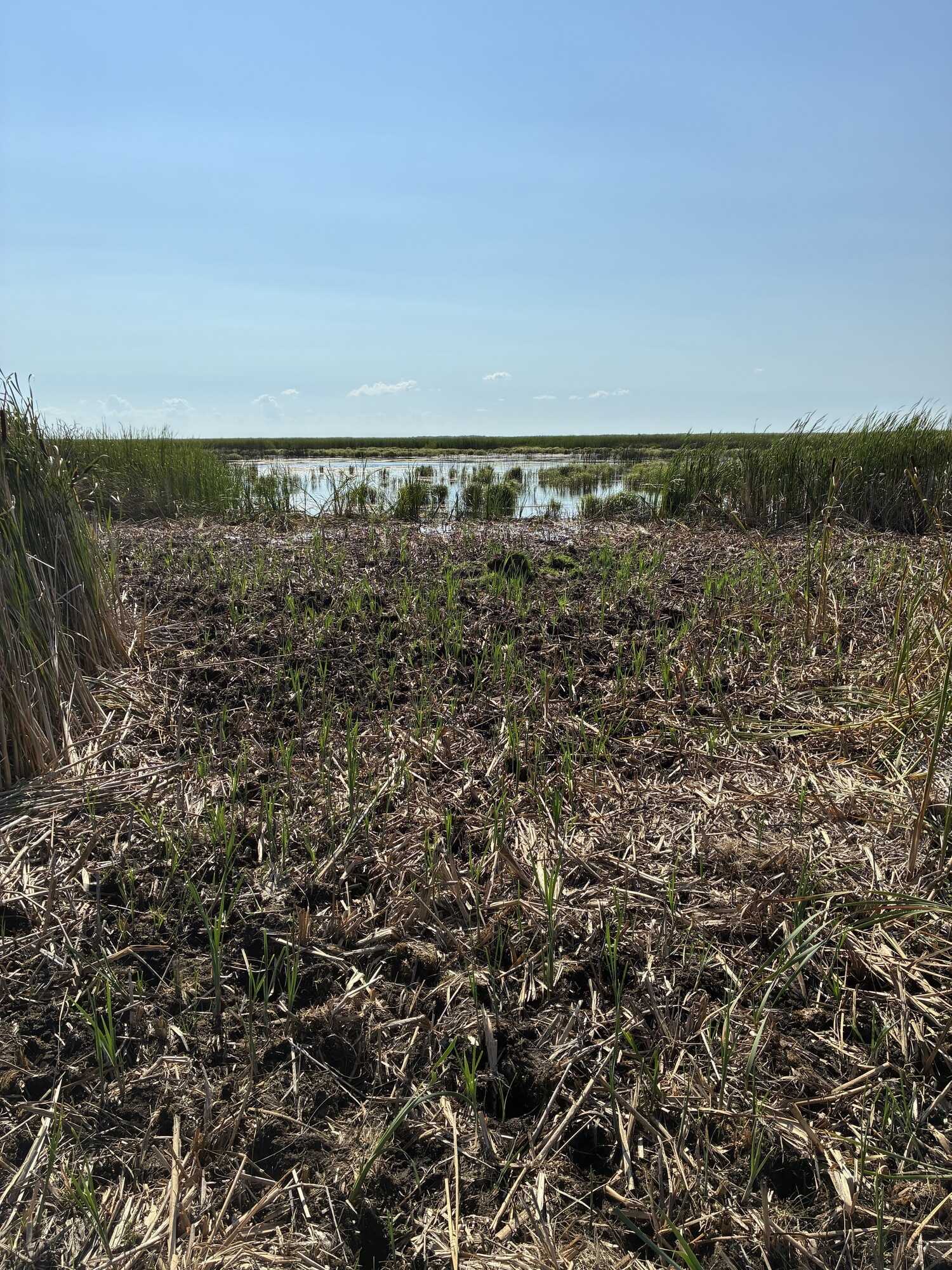 160 acres located on Dennis Lake 3