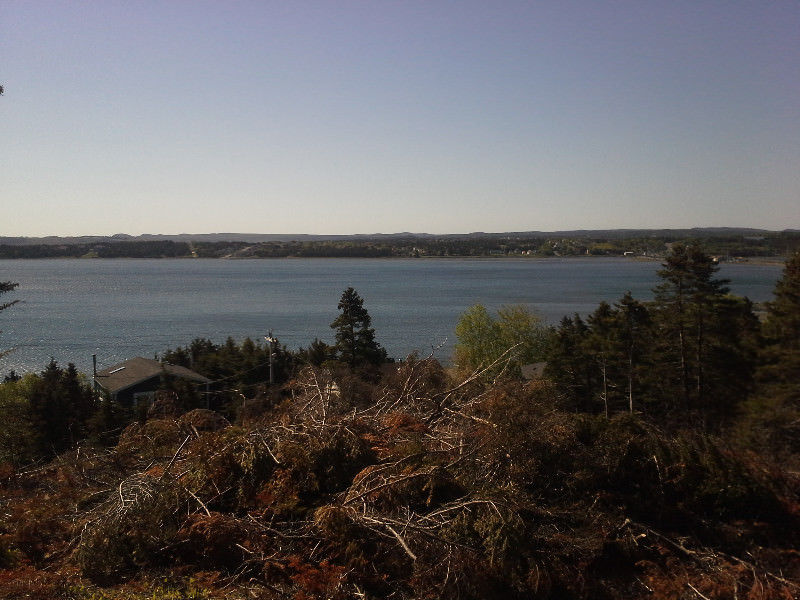 155 Conception Bay Hwy, Spaniard's Bay 2