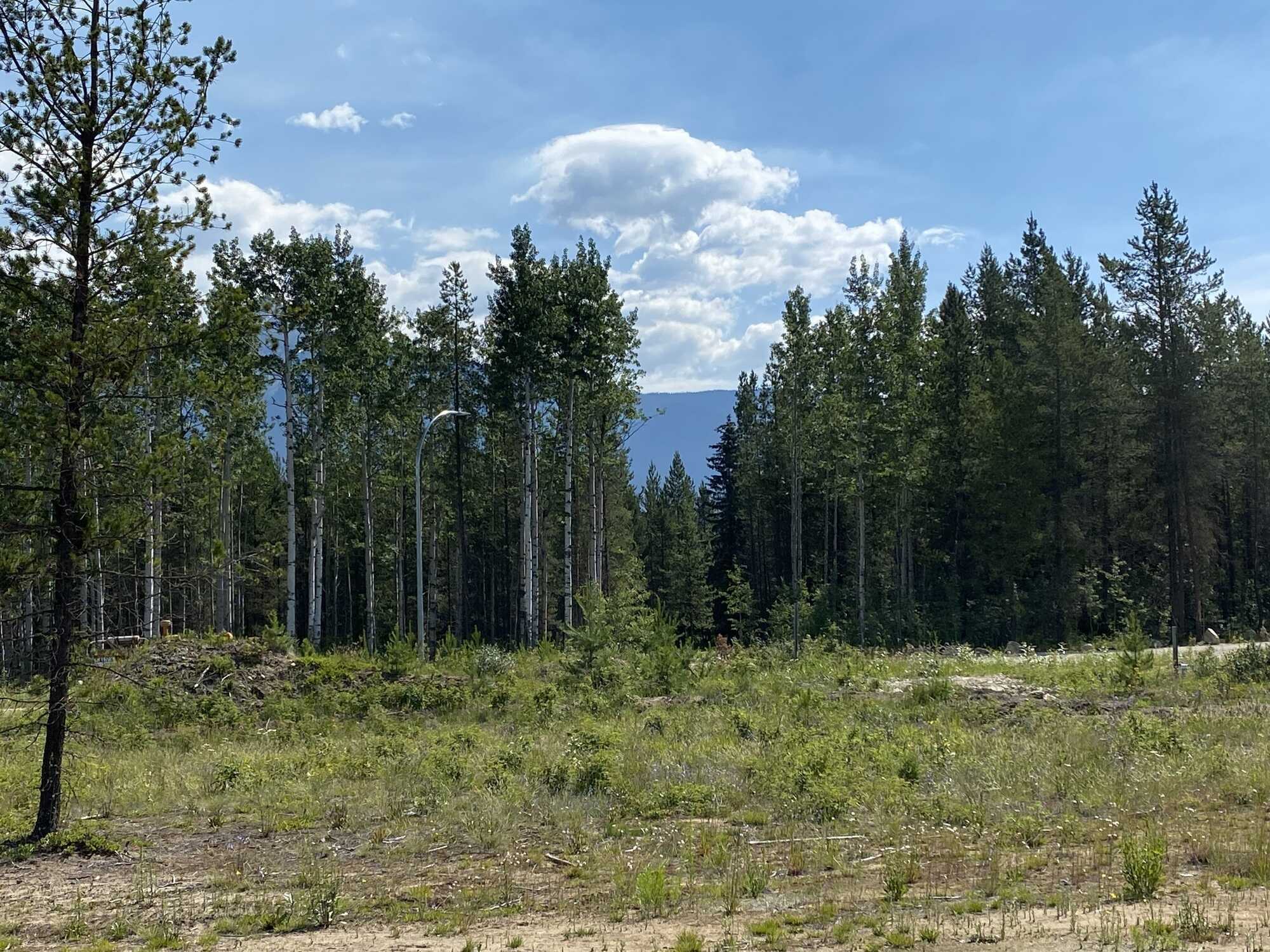 Looking for an affordable mountain town? 5